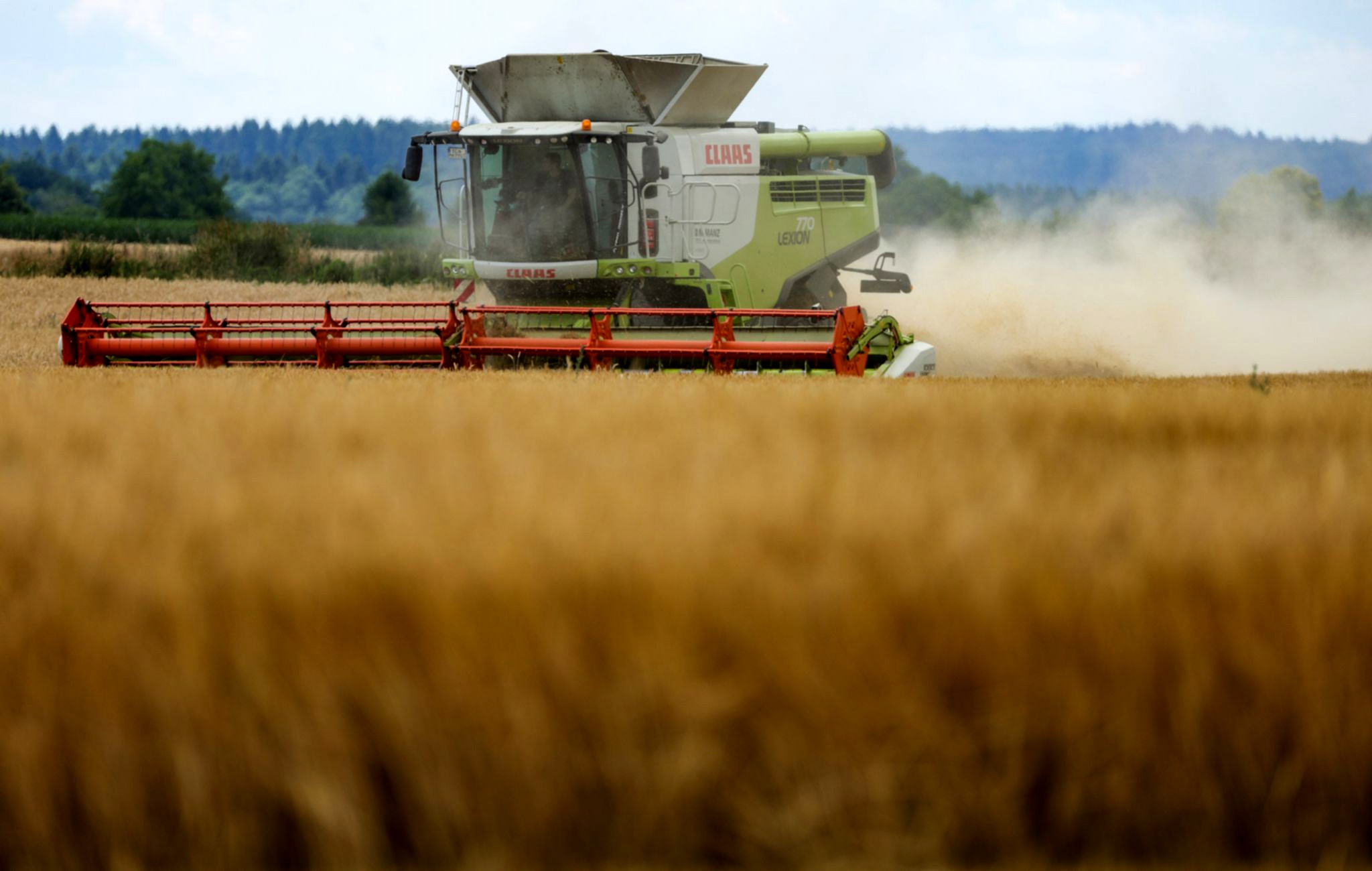 Landwirte hoffen auf Sonnenschein: Entscheidung über Ernte fällt in den kommenden Tagen