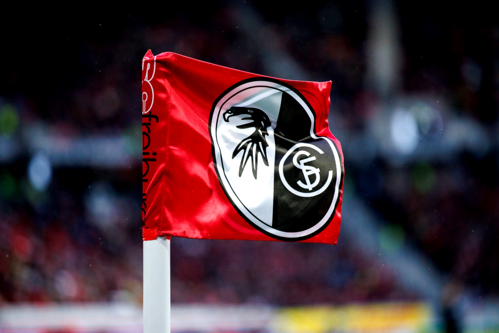 SC Freiburg plant den Einsatz von Nematoden zur Bekämpfung des Japankäfers