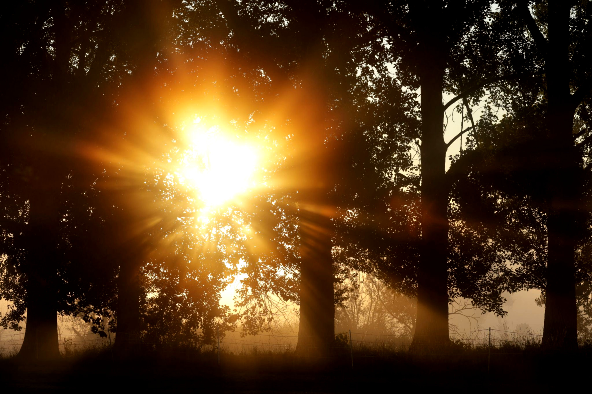 Sommerhitze im Südwesten: In welchen Regionen werden 30 Grad erreicht?