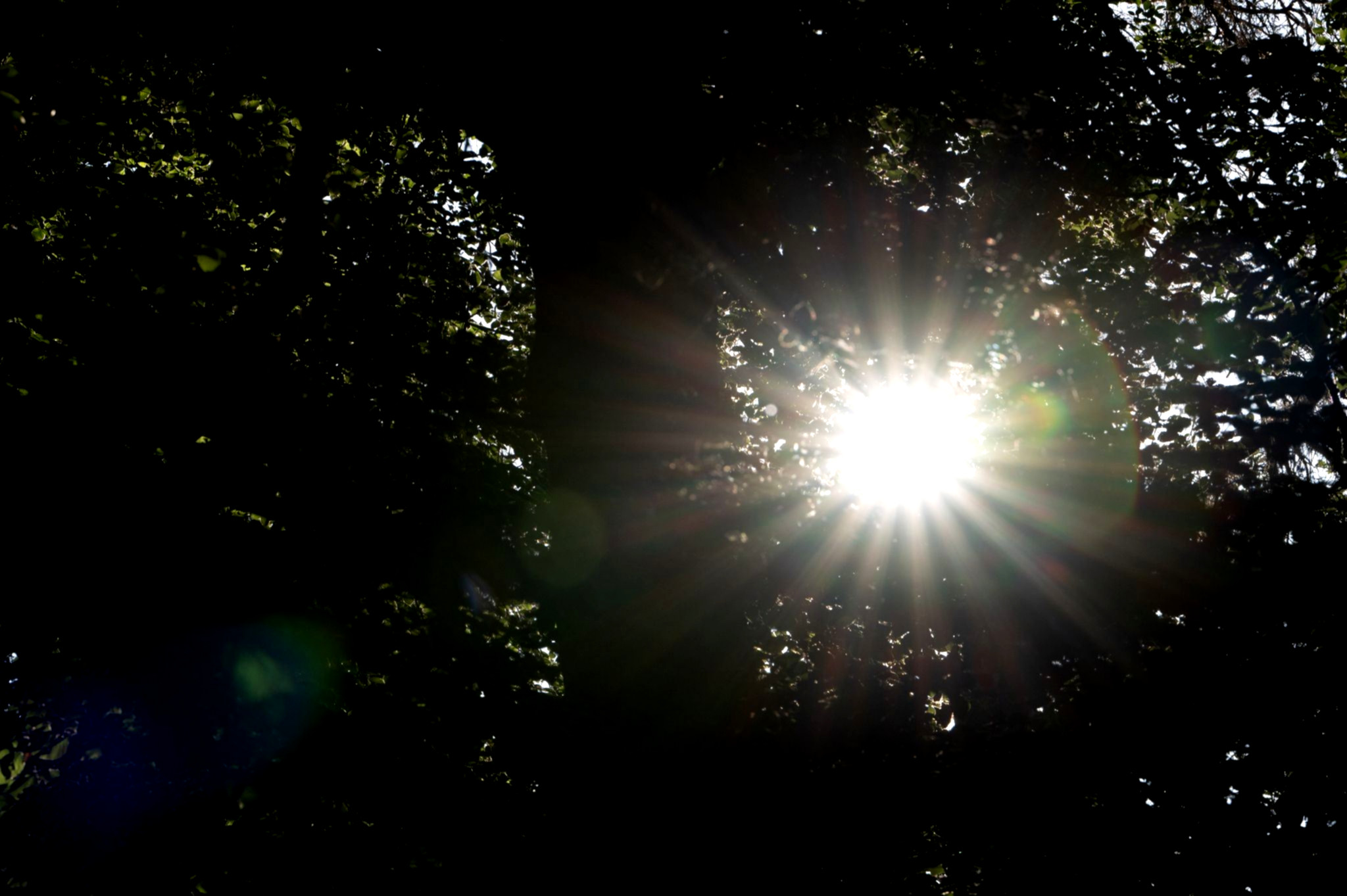 Der Sommer kehrt zurück – zumindest teilweise