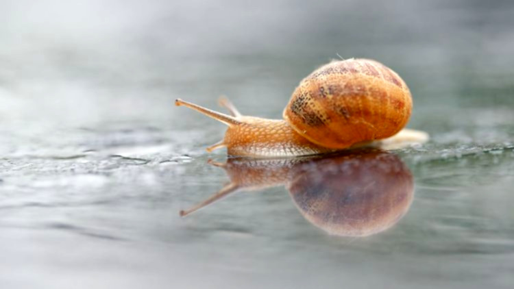Wechselhaftes Wetter, doch Regen lässt nach