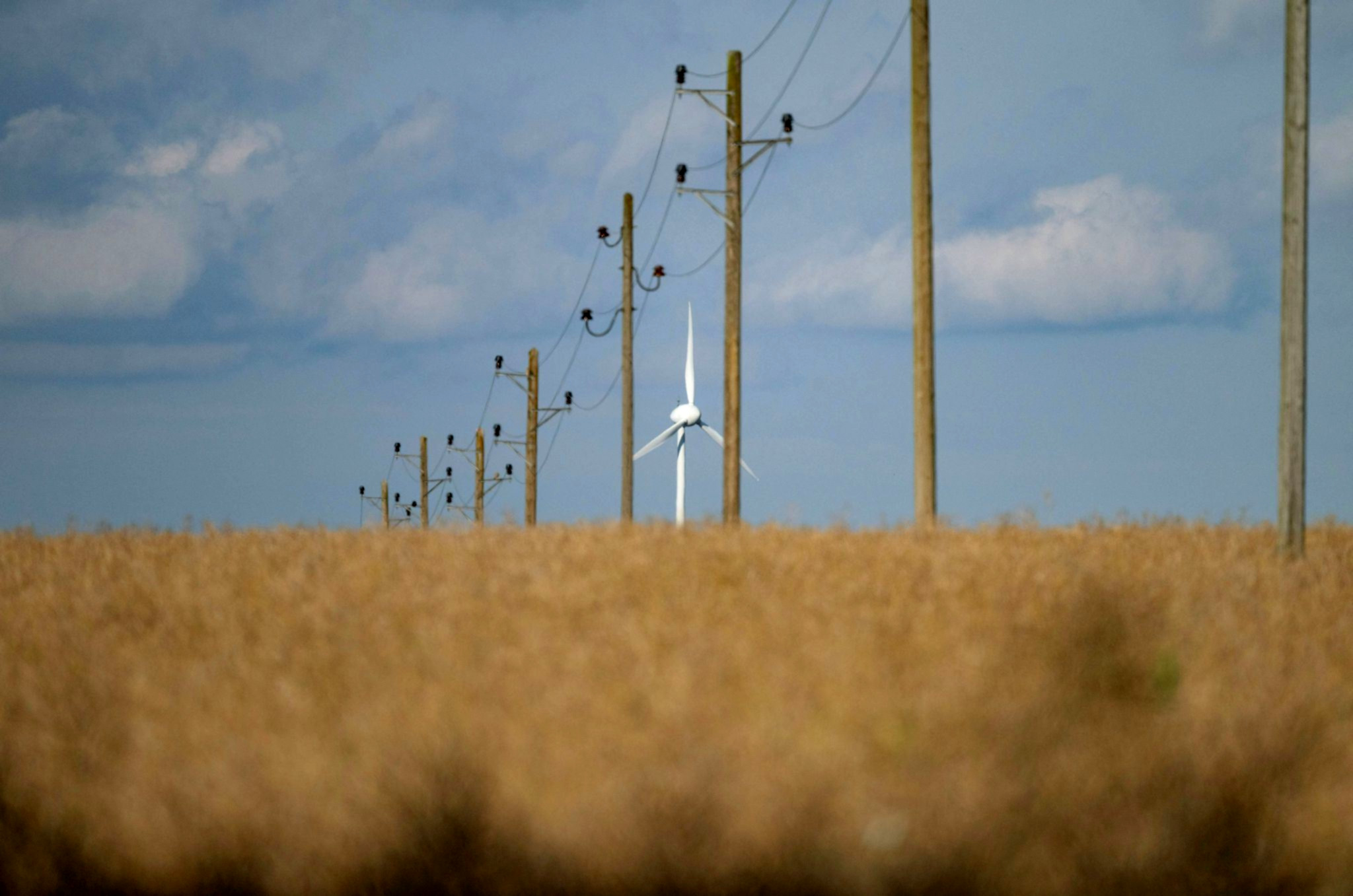 WWF kritisiert Rückstand des Südwestens bei der Umsetzung der Energiewende